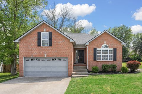 252 Oak Point Ln Mount Juliet TN 37122