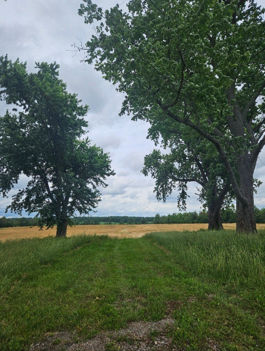 0 Jacksboro Trail