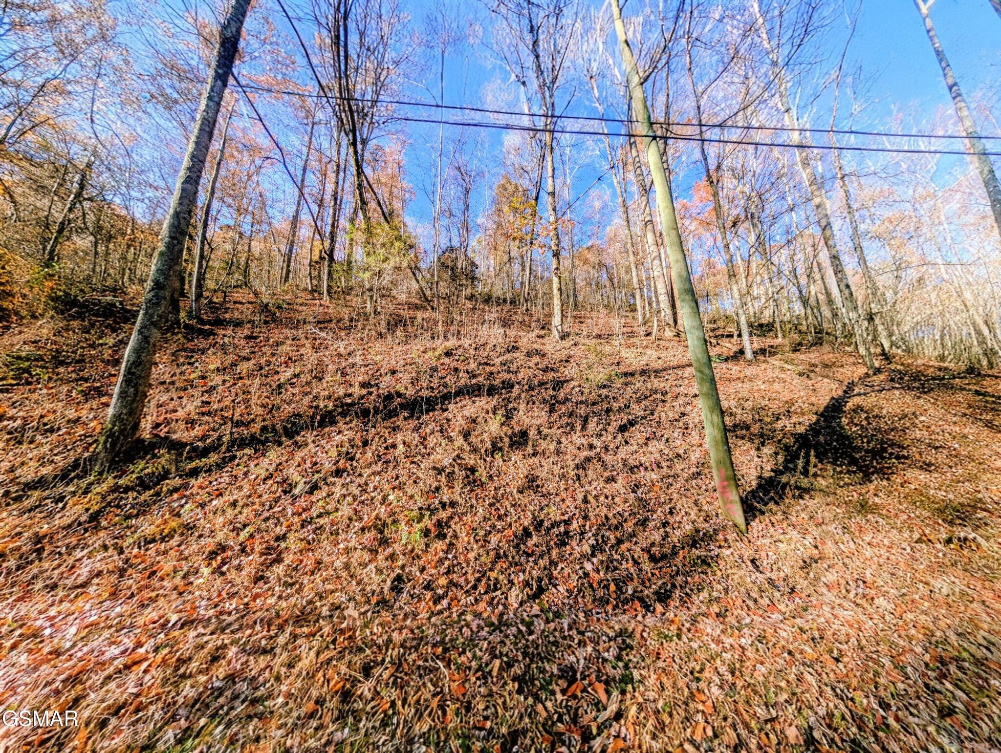 1272 Raymond Hollow Road