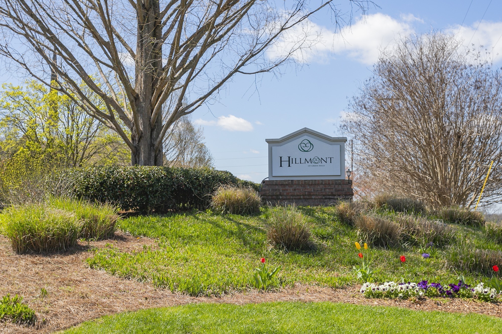 Nashville, Tennessee 37215, United States, 1 Bedroom Bedrooms, ,1 BathroomBathrooms,Residential,Active,10395