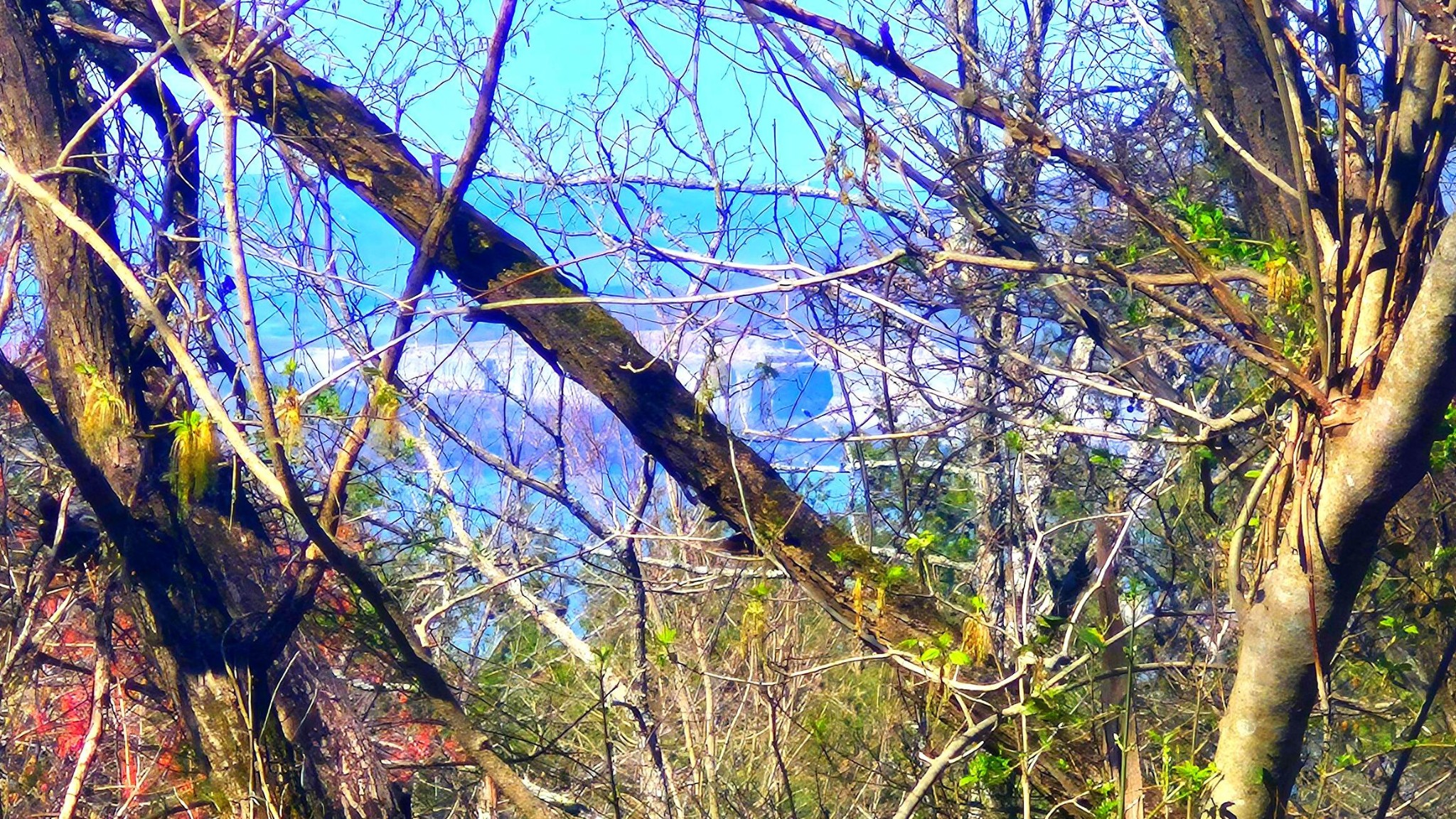 168 Teludachee Trail