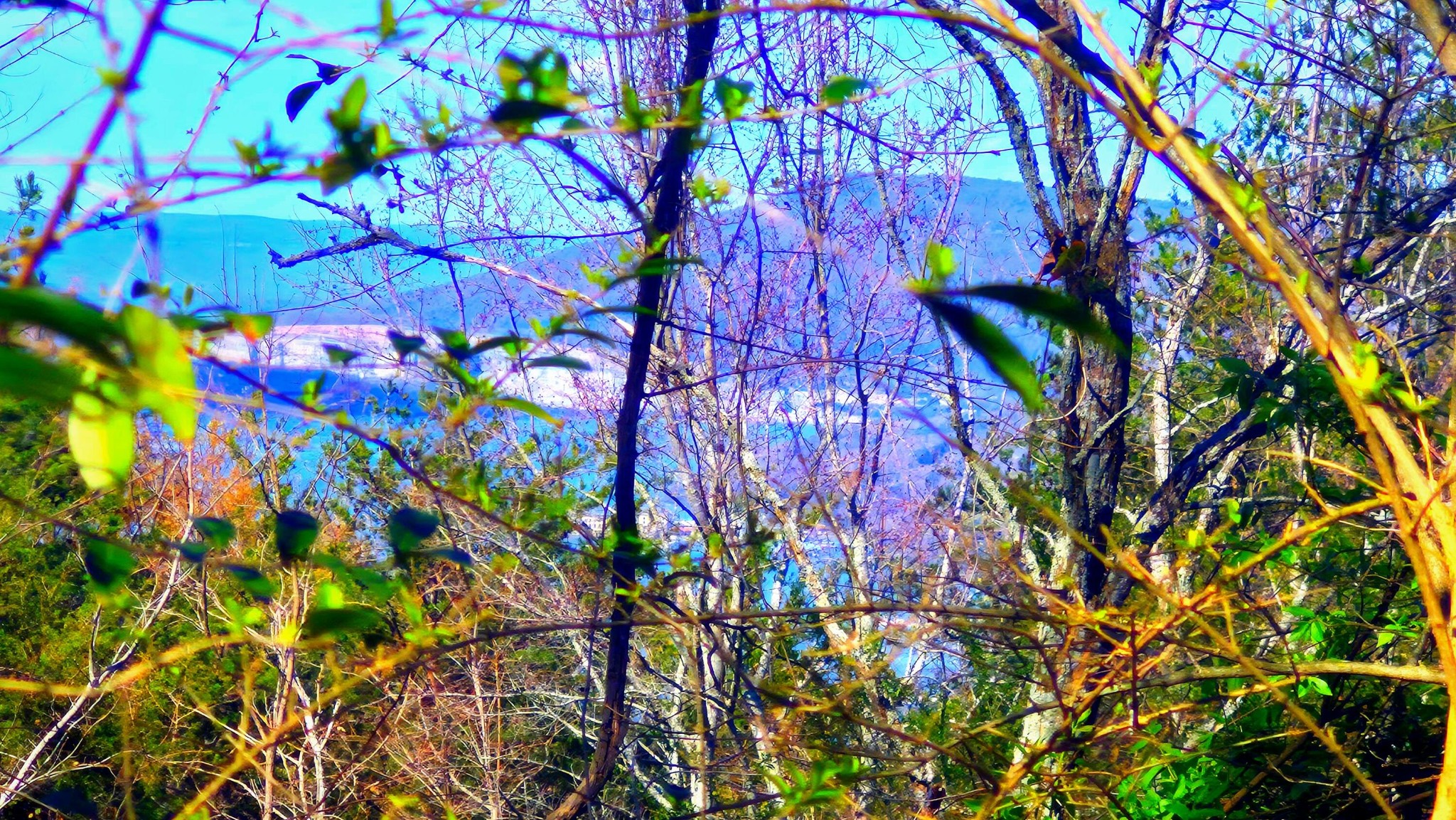 168 Teludachee Trail