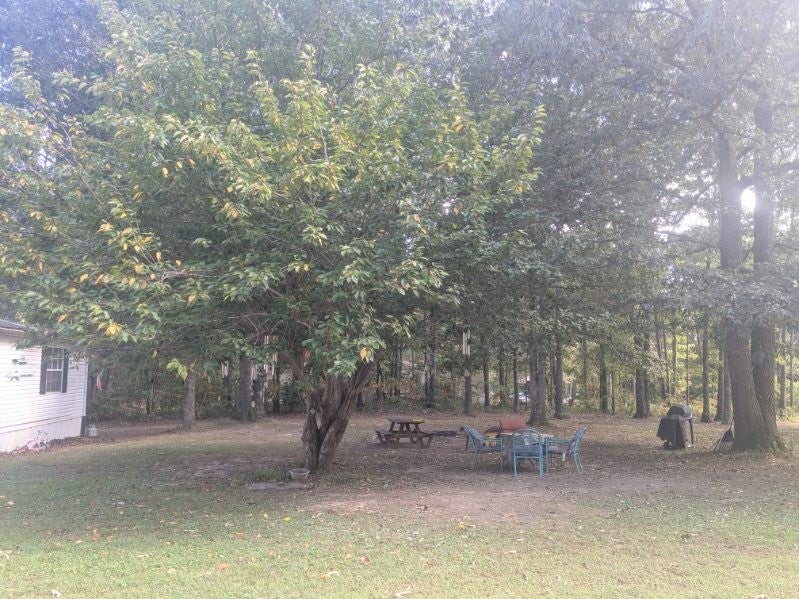429 Crestview Loop