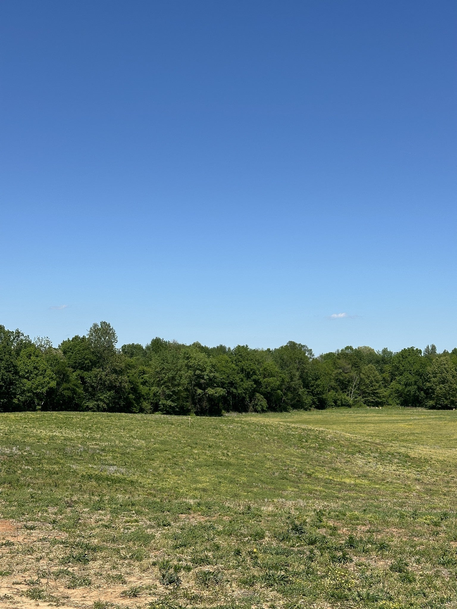 2181 Highway 259