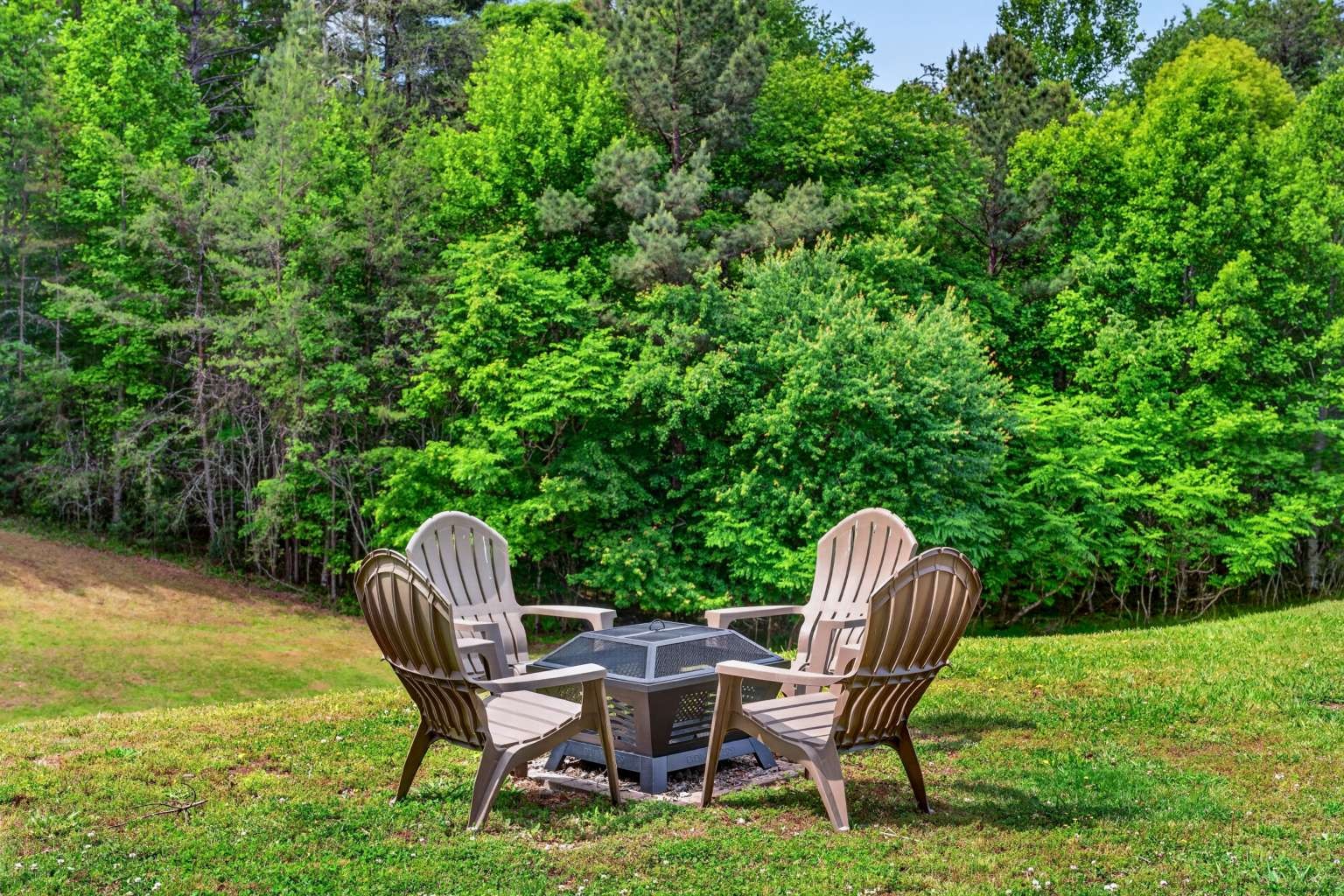 100 Pond Overlook Ln