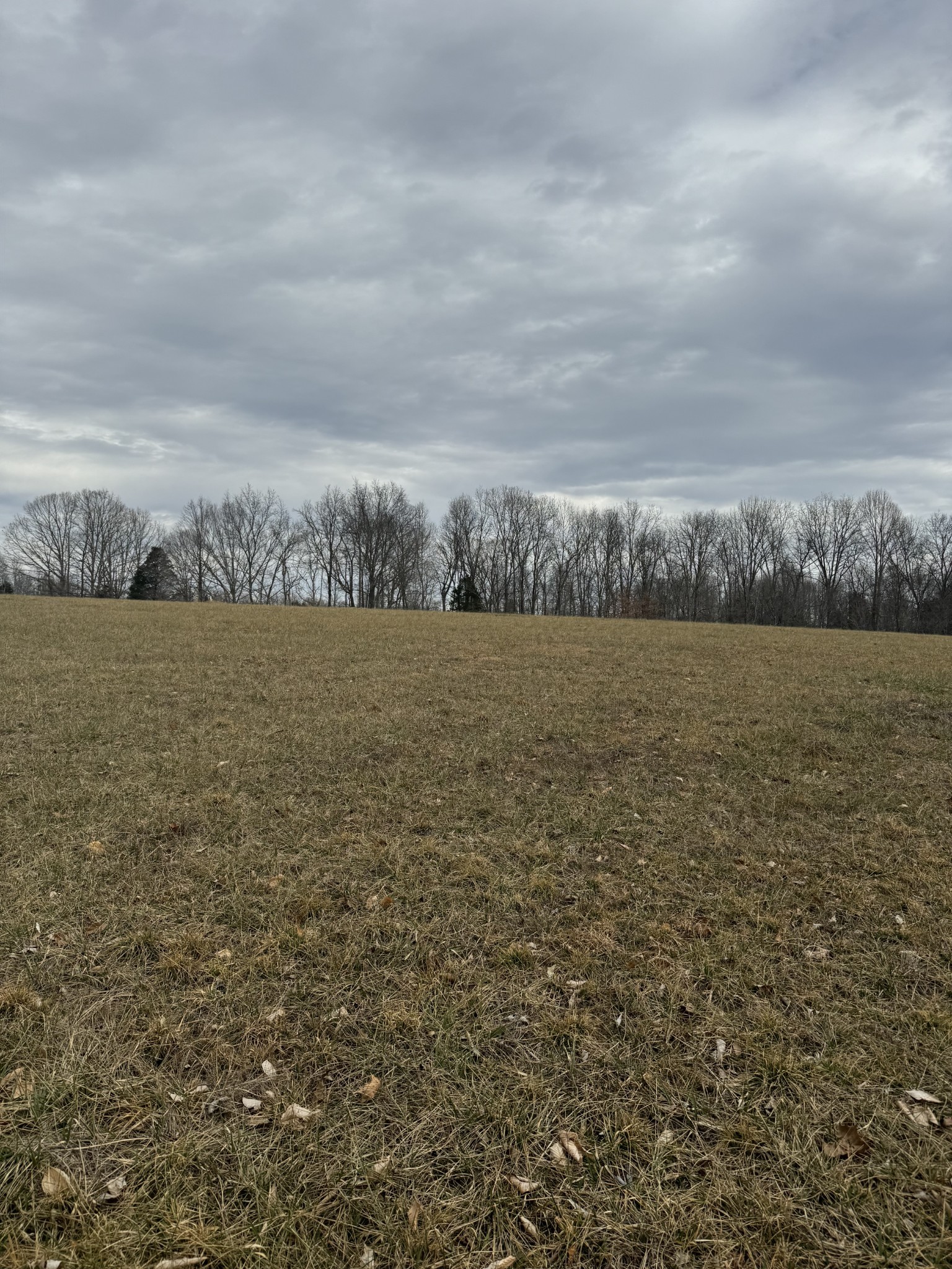 400 White Springs Road