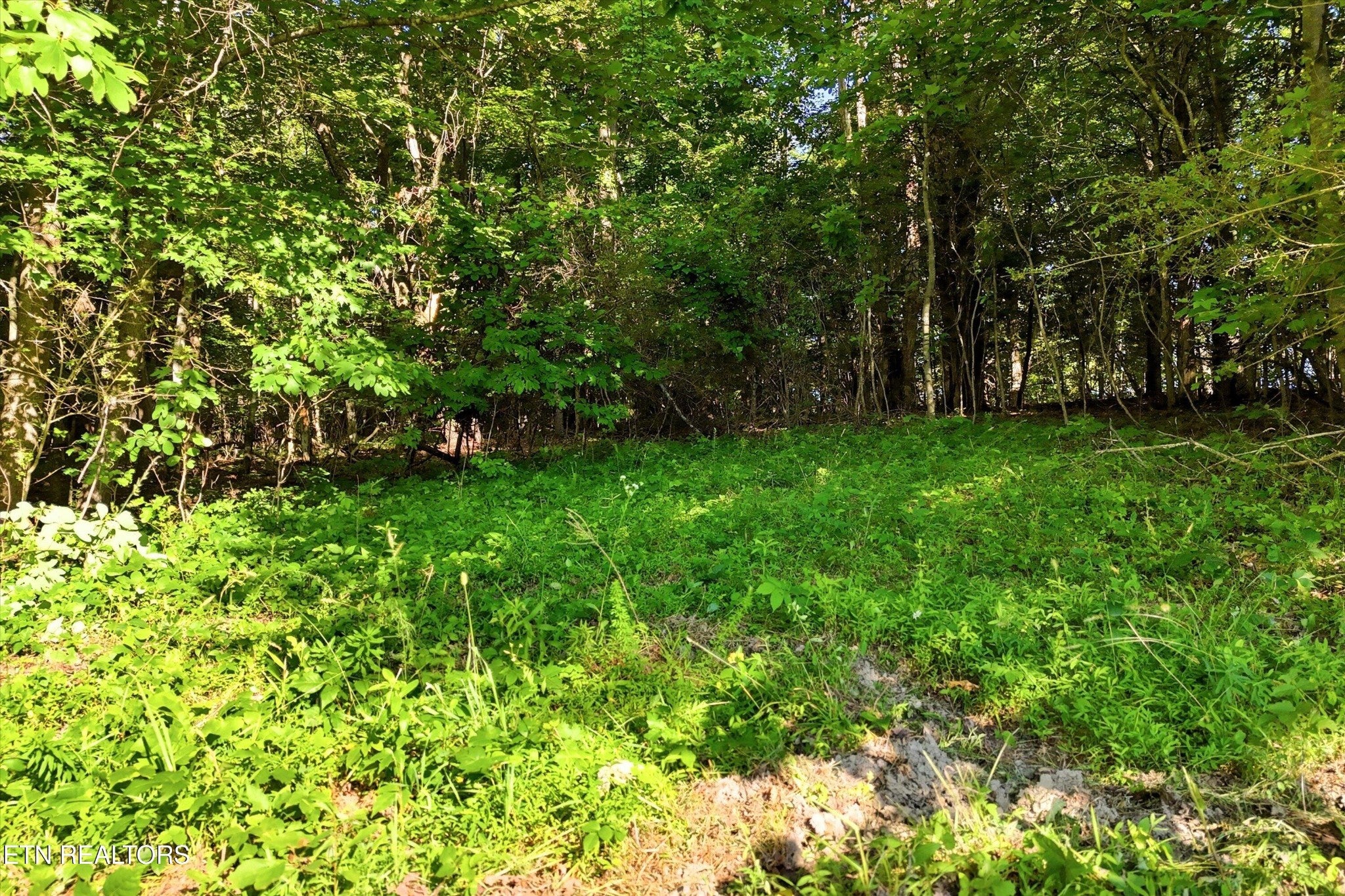 0 Daniels Rd