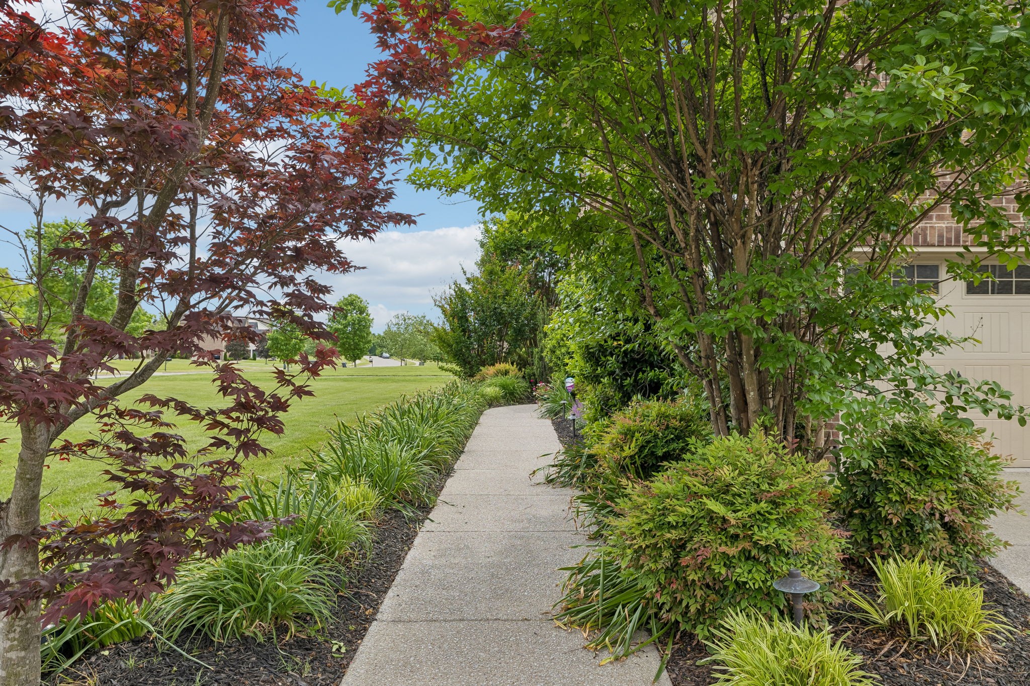 803 Pine Terrace Dr