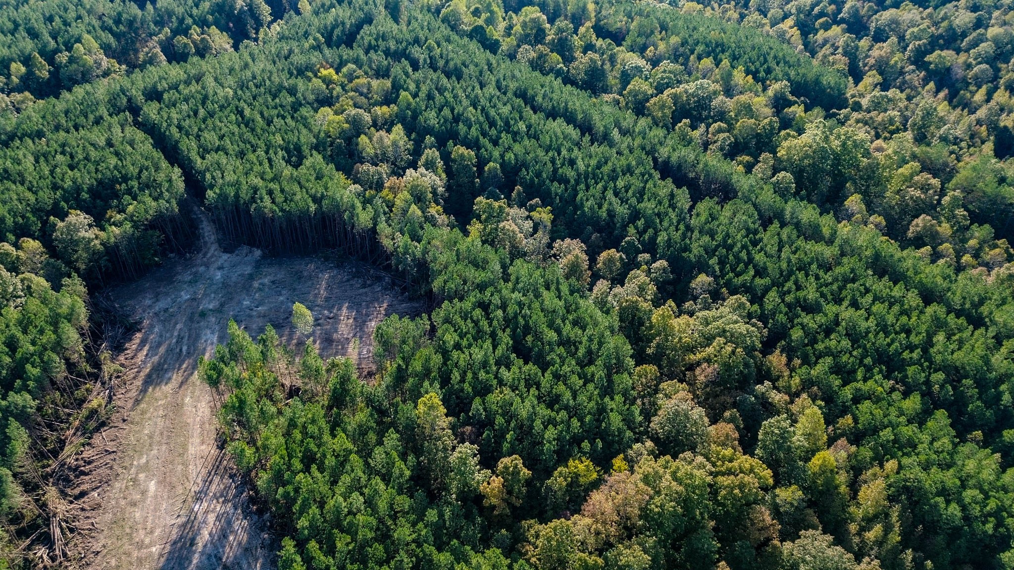 0 Hurricane Creek Road