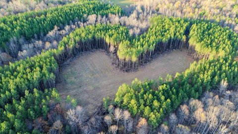 0 Hurricane Creek Road Linden TN 37096