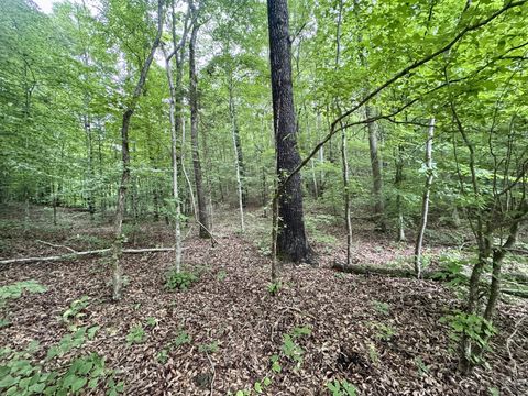1030 Highway 438 West Lobelville TN 37097