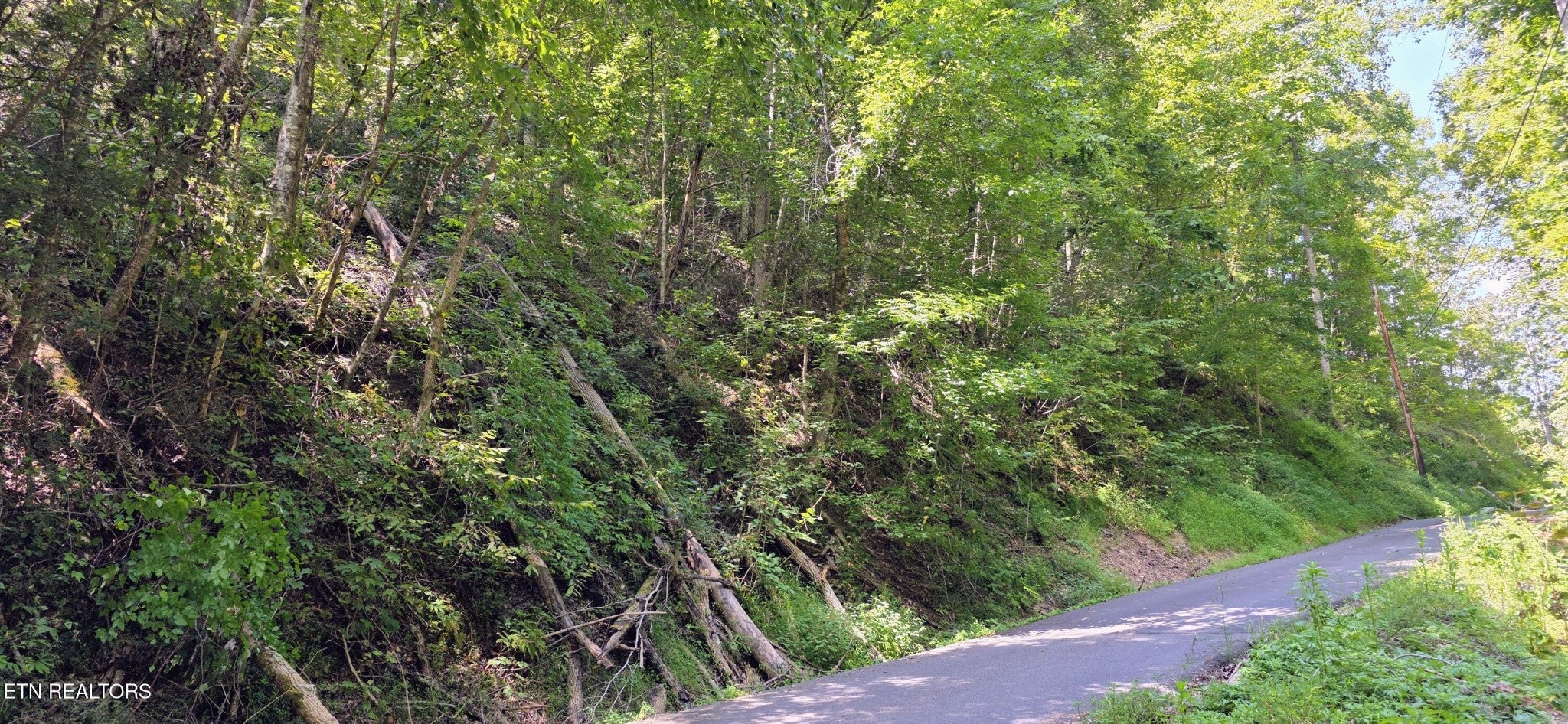 5 Sugar Maple Loop Rd