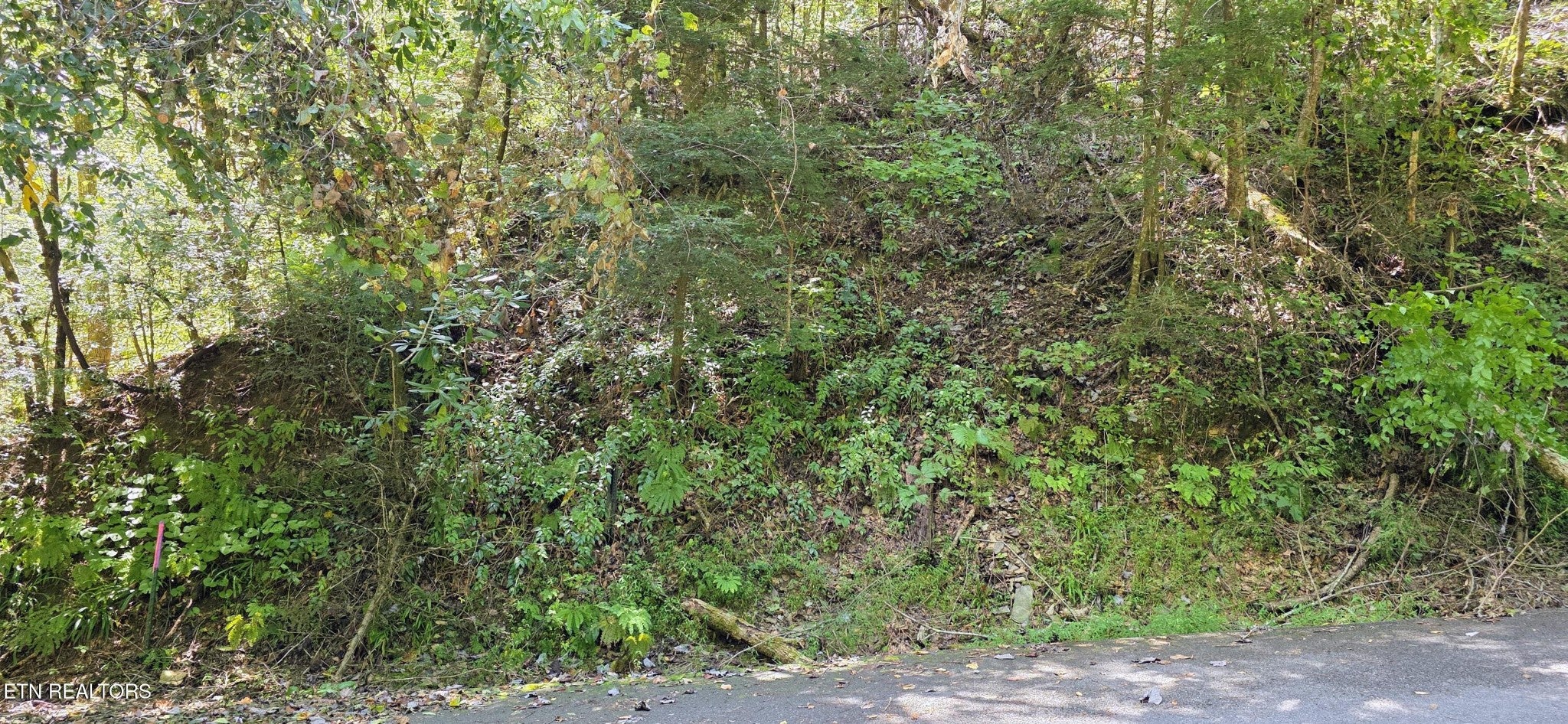 5 Sugar Maple Loop Rd