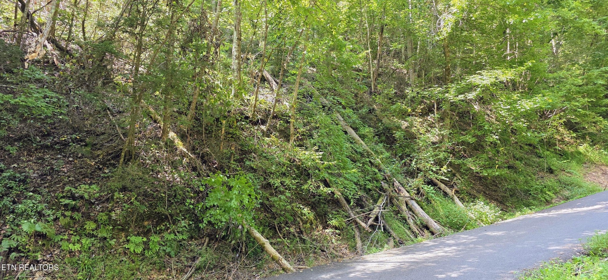 5 Sugar Maple Loop Rd