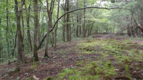 0 Old Hwy 53 S Celina TN 38551