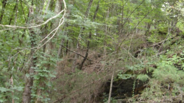 0 Old Hwy 53 S