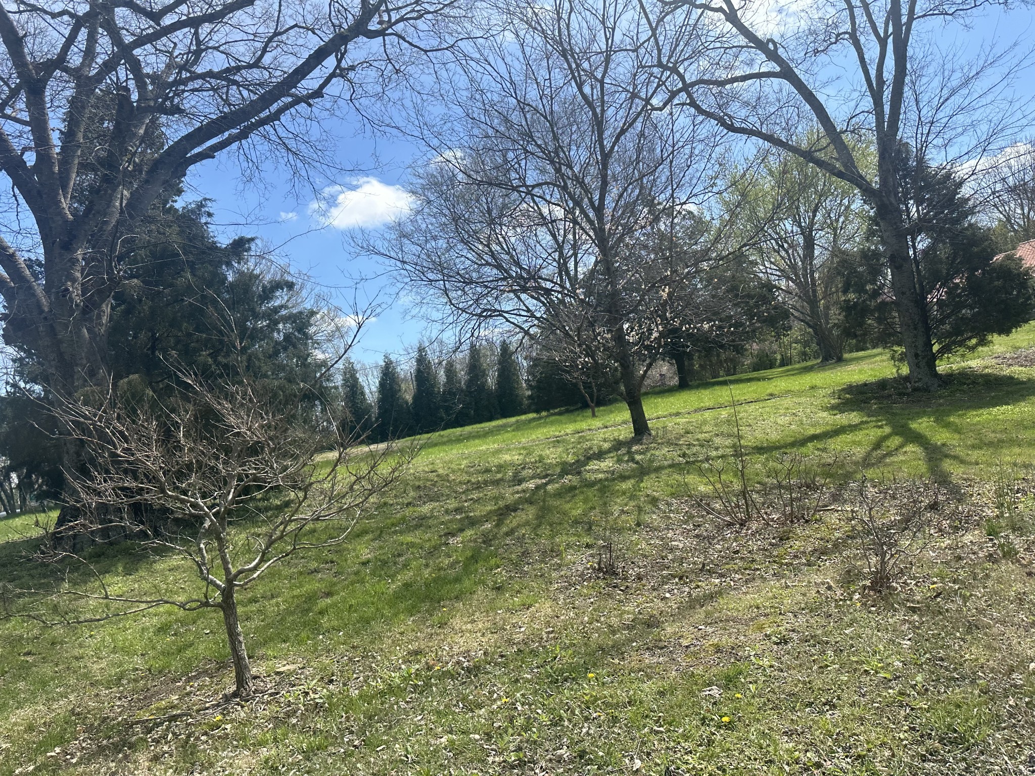 6400 Central Pike Lots 3 and 4