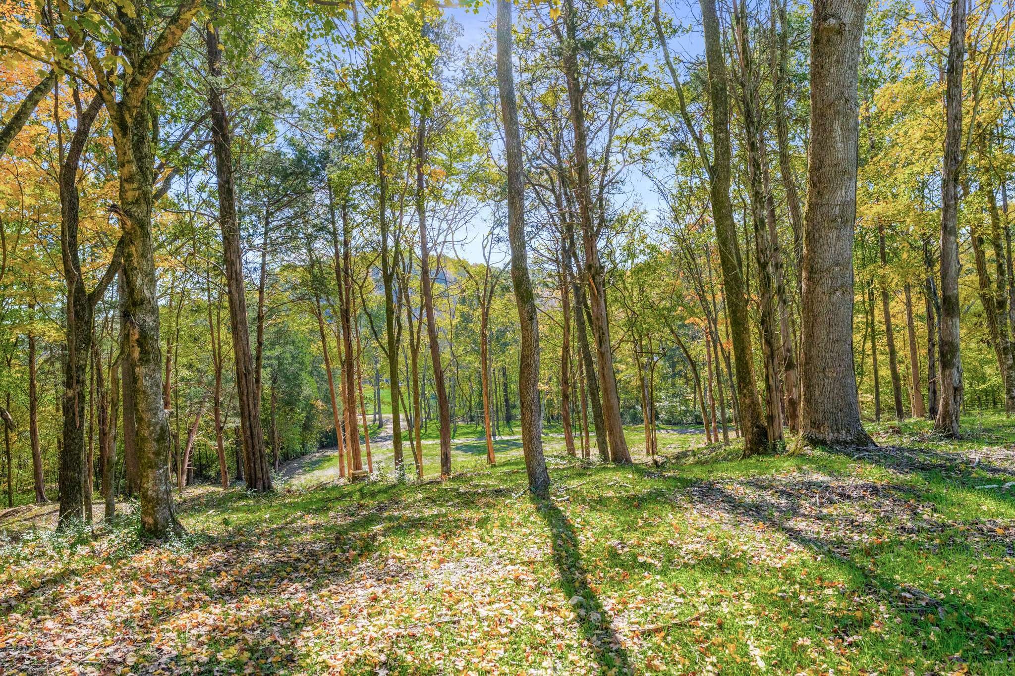 5362 Parker Branch Rd