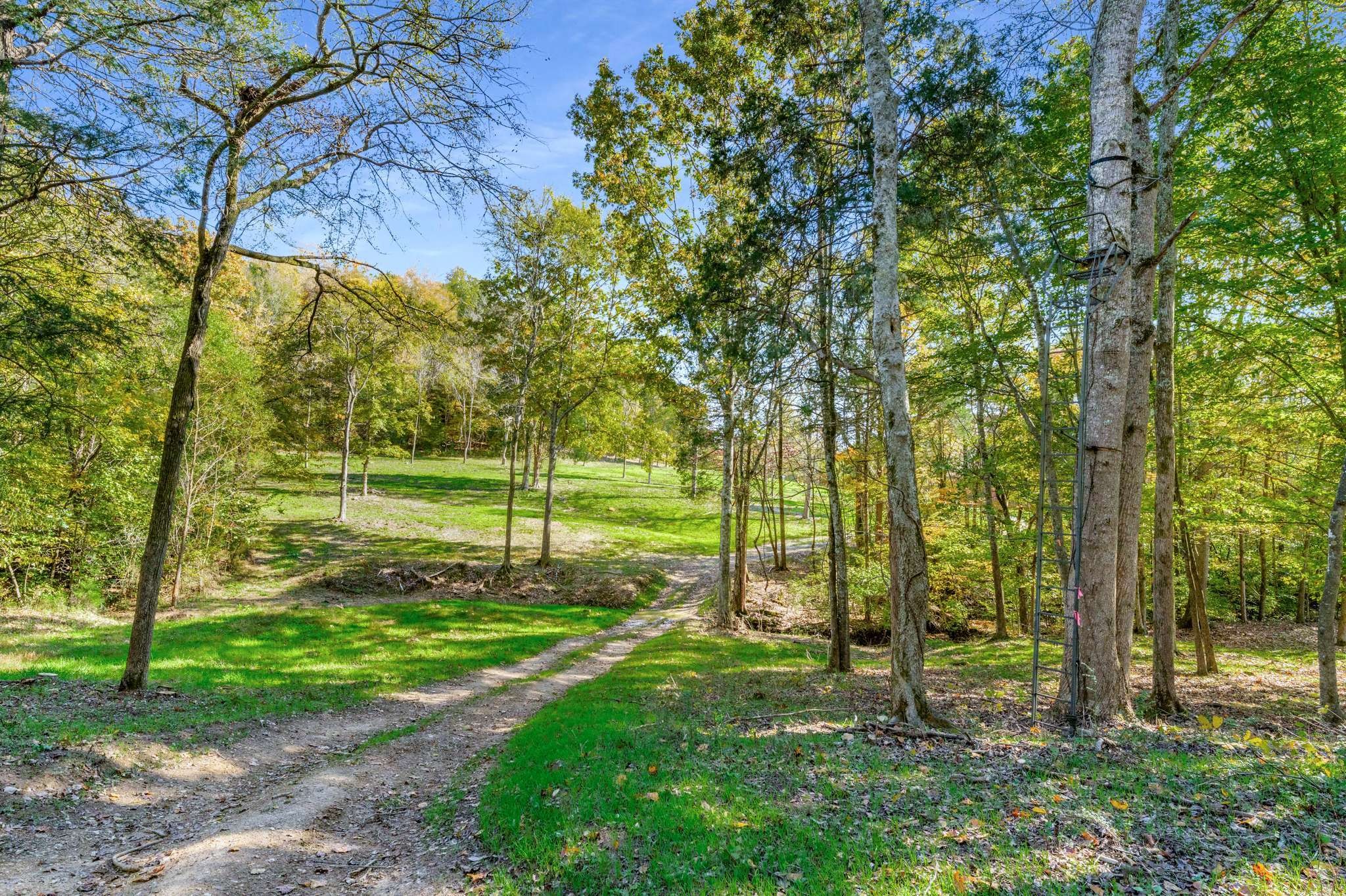 5362 Parker Branch Rd