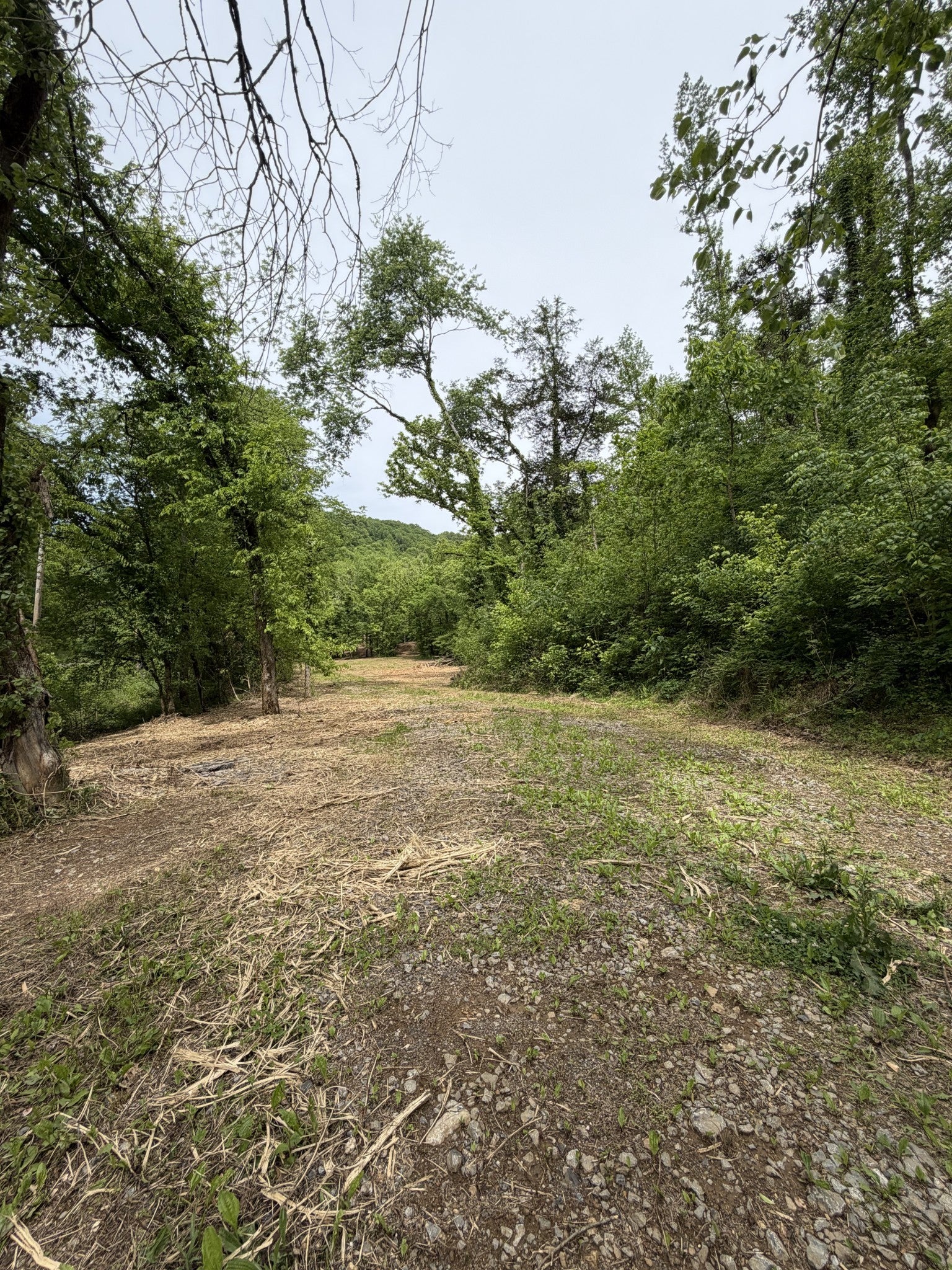 0 Long Branch Rd