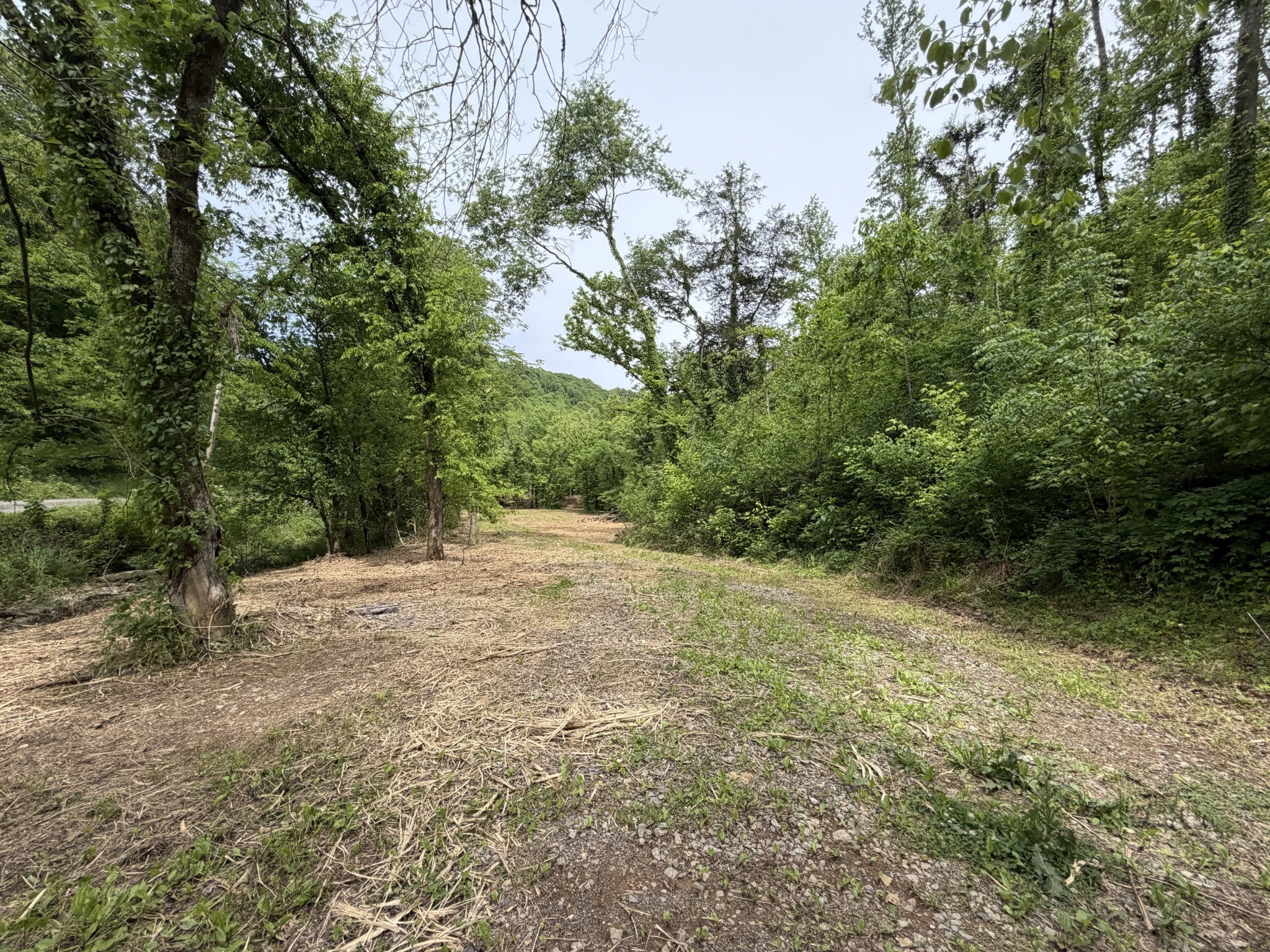 0 Long Branch Rd