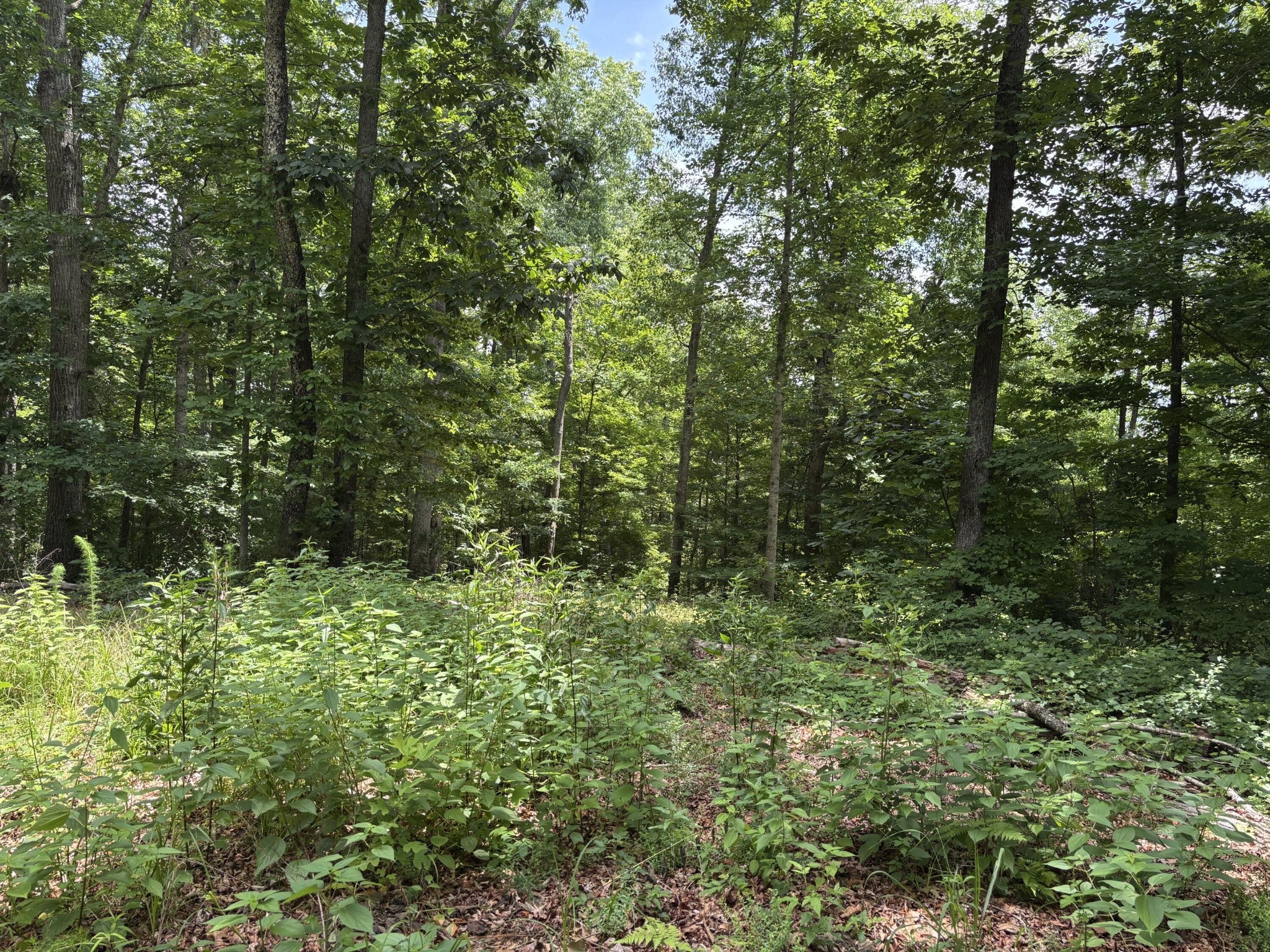 236 County Road 3