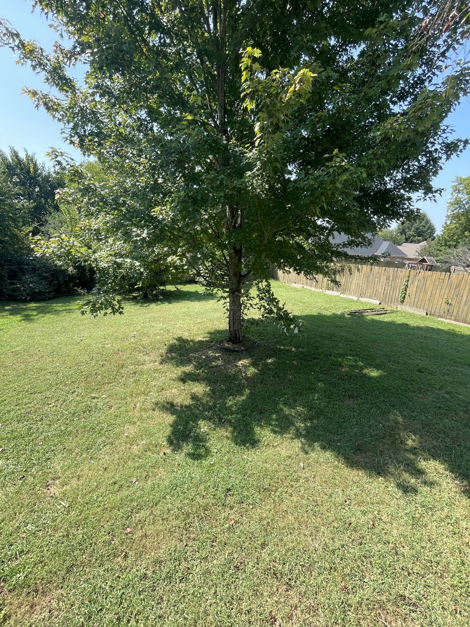 2885 Sutherland Dr