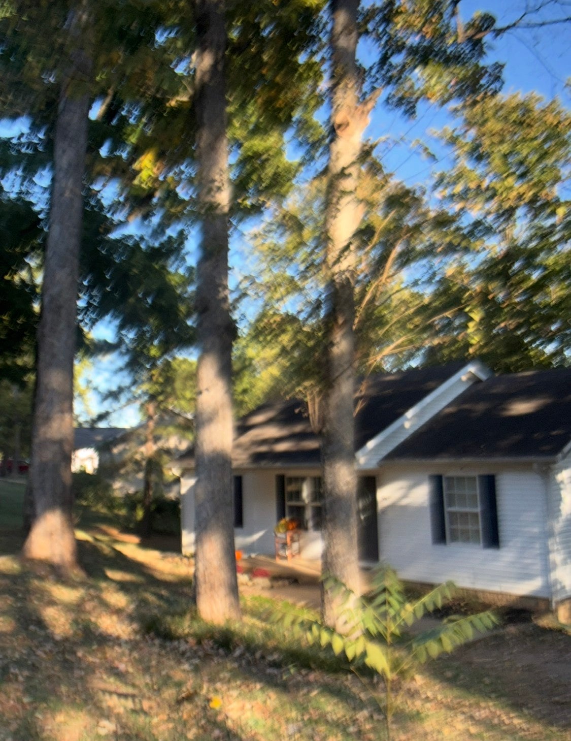 2067 Sugar Tree Dr