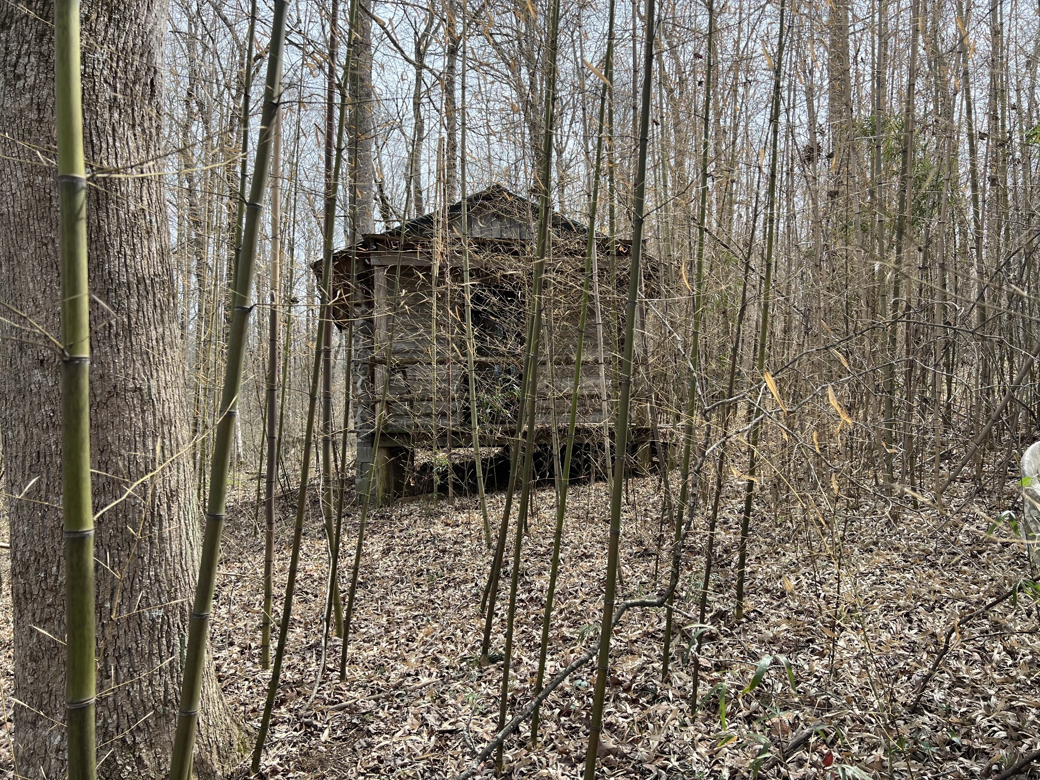 4104 Highway 47 N