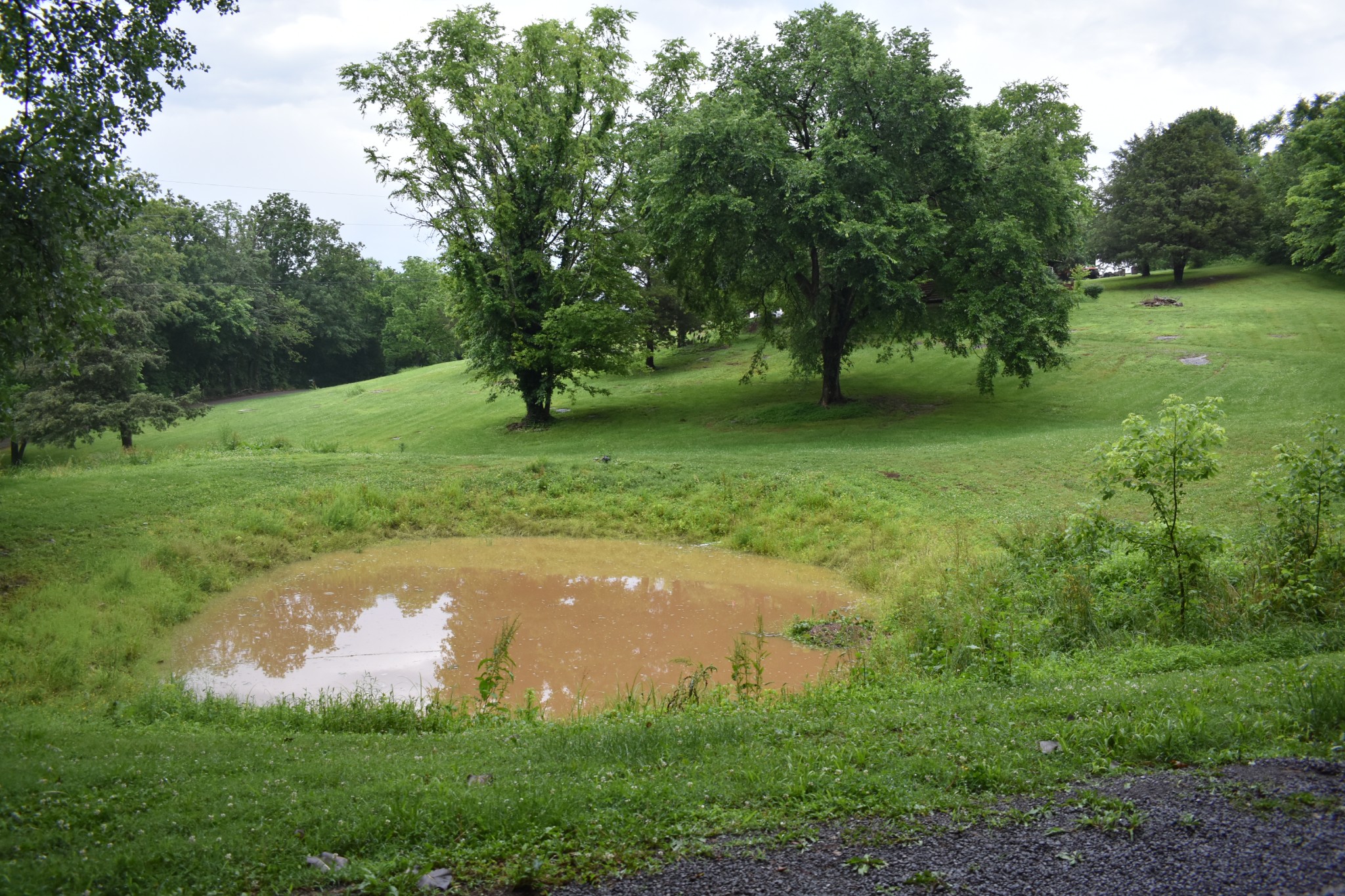 400 Forrester Hollow Ln