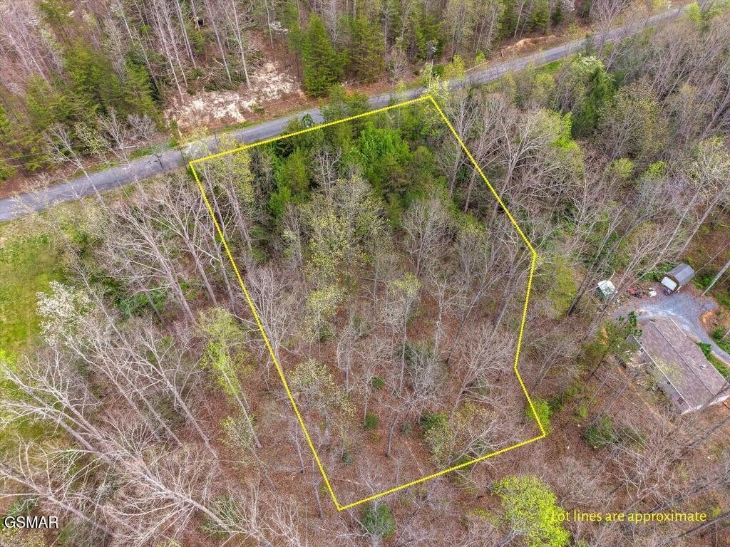 1433 Timber Trail