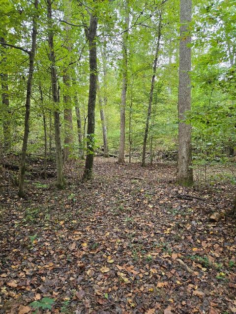 Photo of 13988 Crooked Creek Rd, Lobelville, TN 37097 (MLS # 3012081)