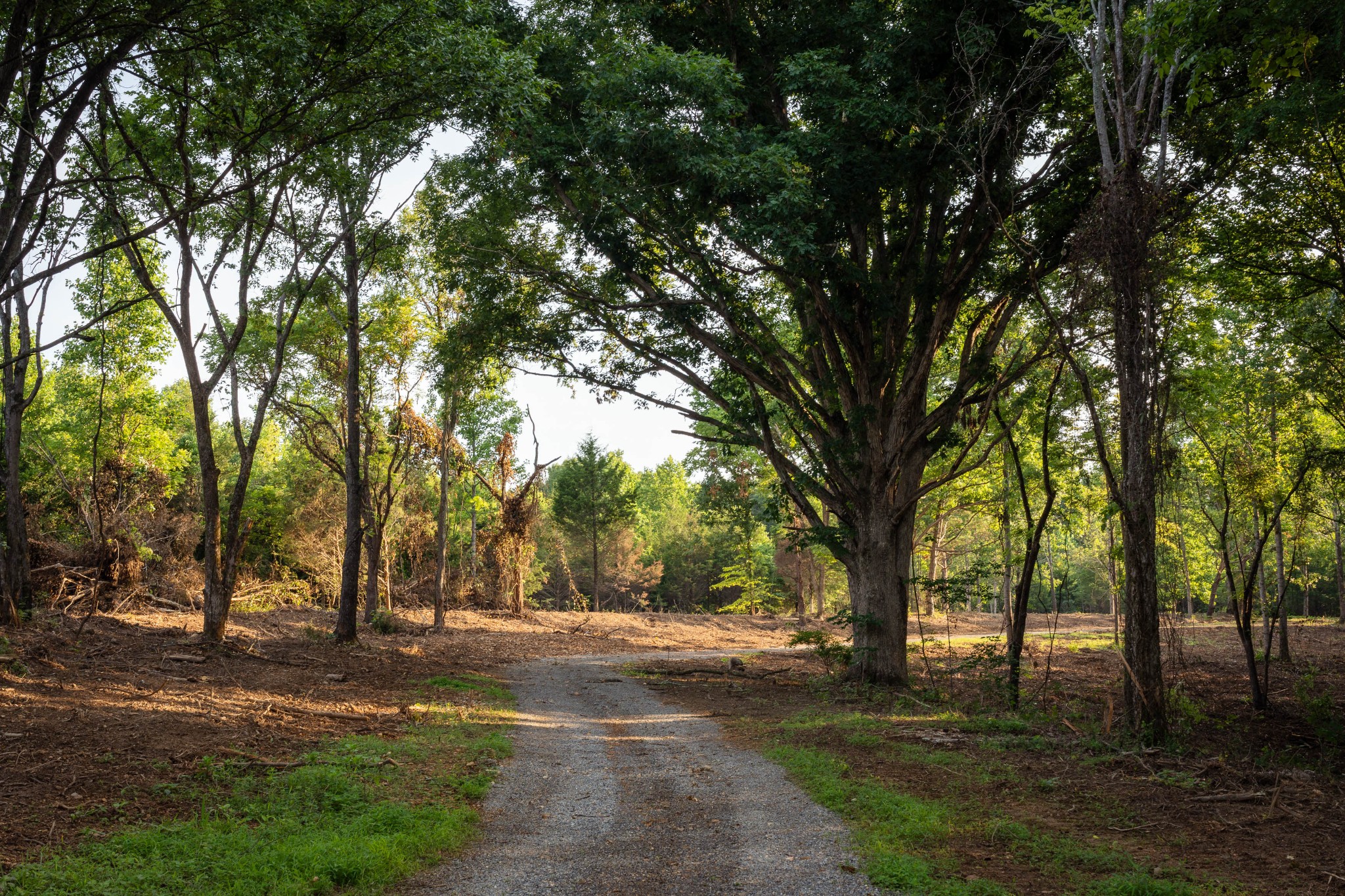 0 Parker Branch Rd