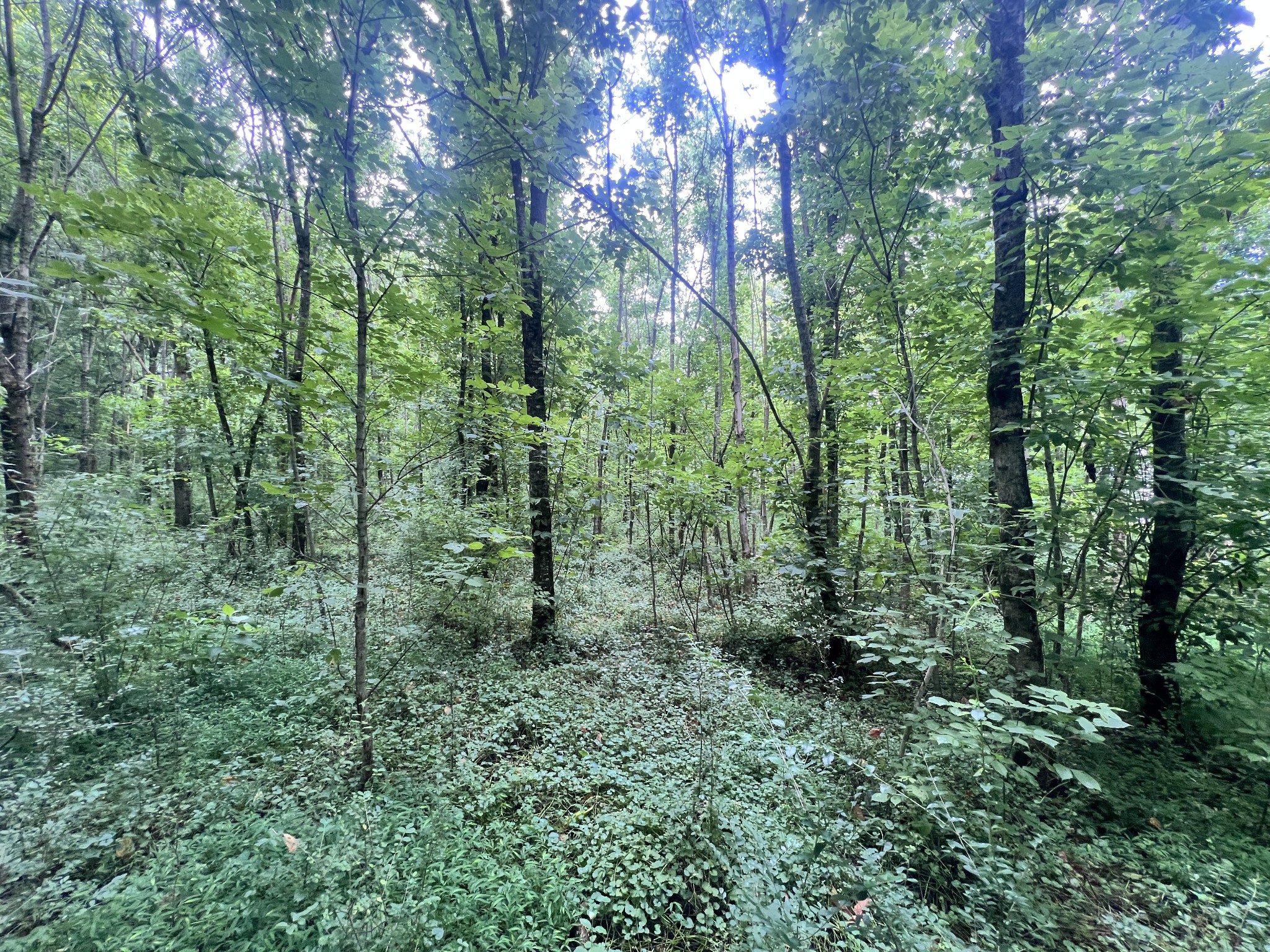 Middle Tennessee Properties 2 555 Brazier Ln