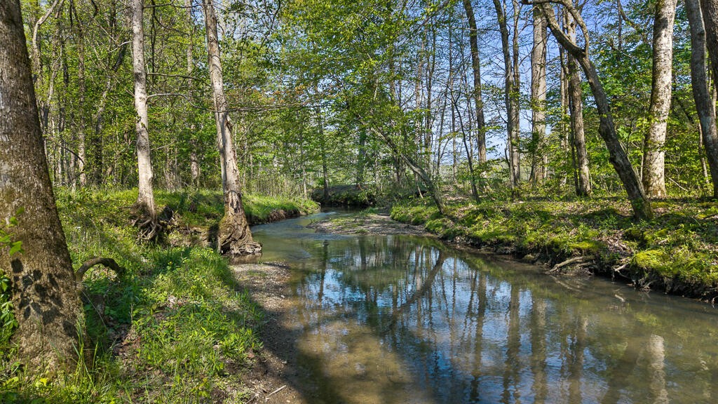 310 Old Horton Road SE