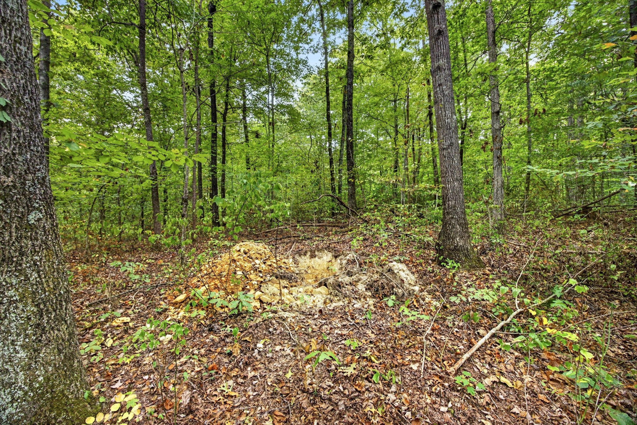 0 Timber Ridge Lane