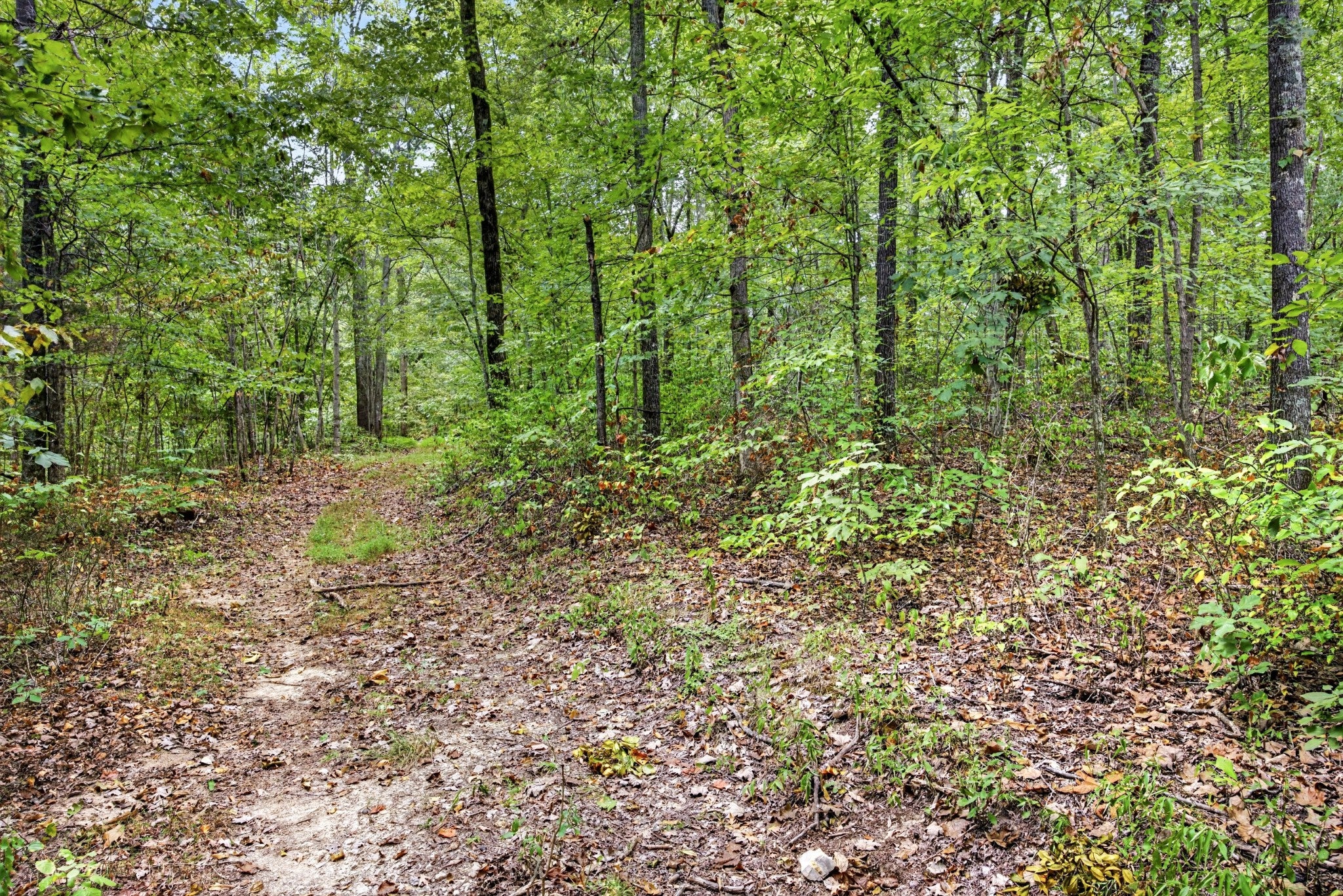0 Timber Ridge Lane
