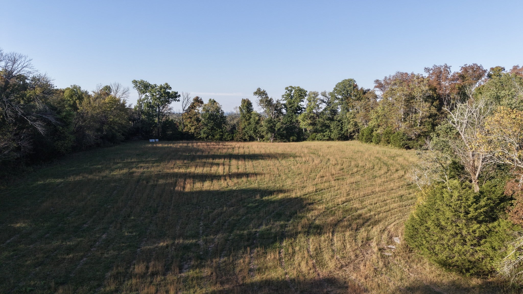 1441 Phillips Rd