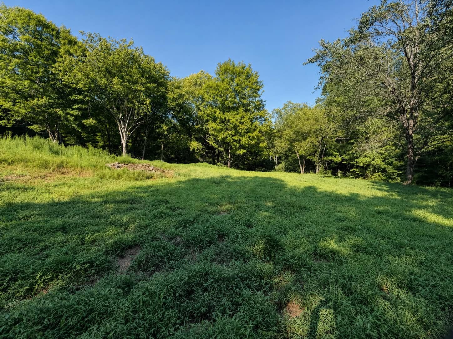214 County Road 87