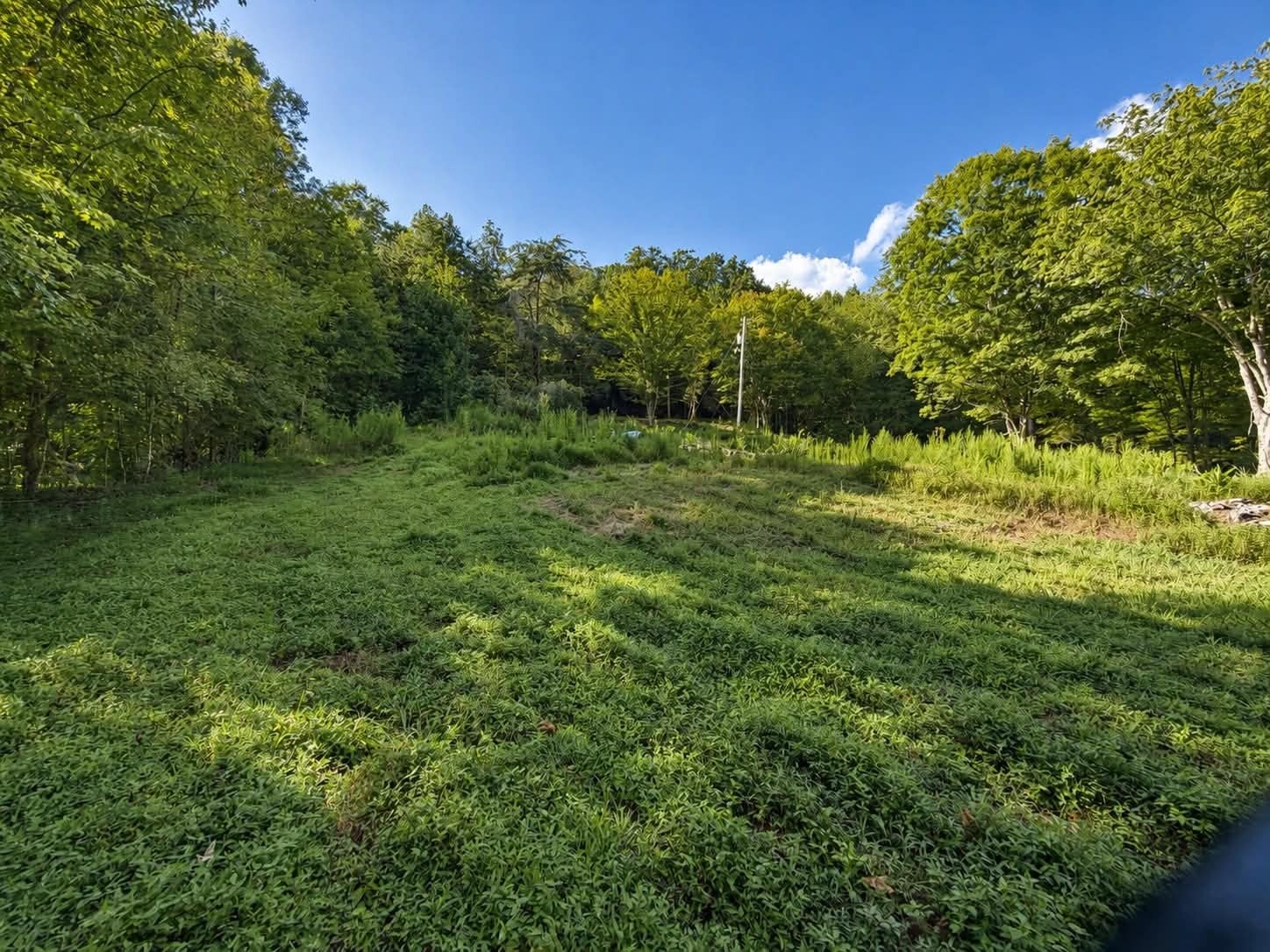 214 County Road 87