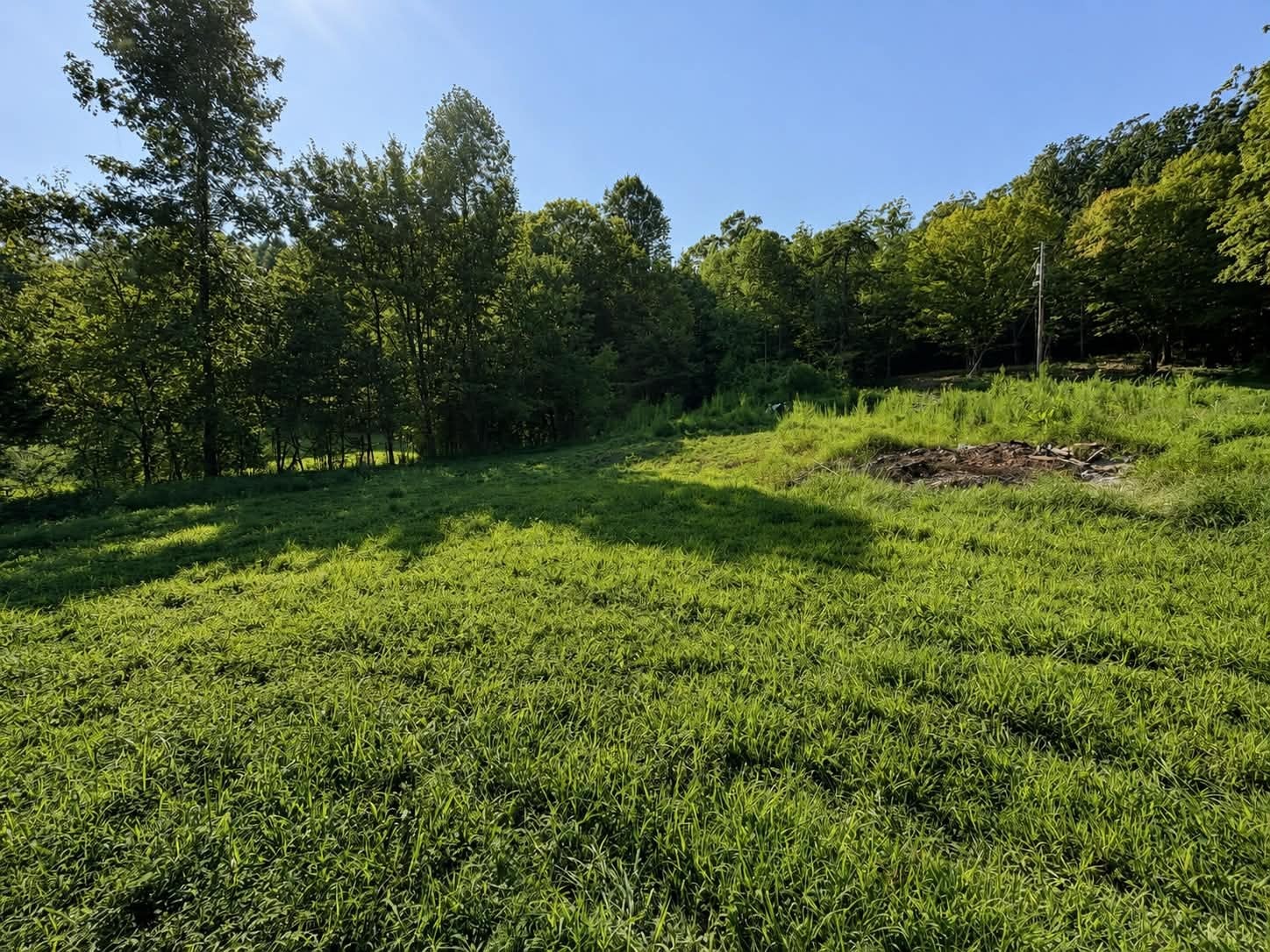 214 County Road 87