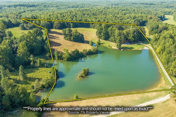 241 PETERSON LOOP, HOLLADAY, TN 38341 - Image 4a92dc35a71ffaa9e7bdbfa6cbb538ba/2255503157