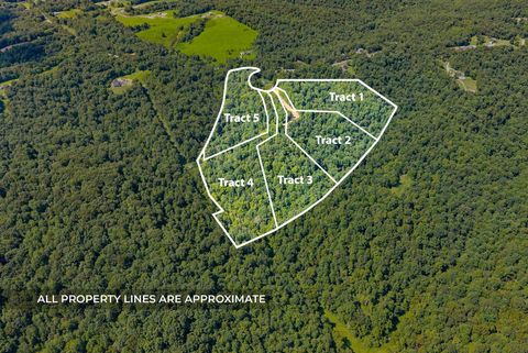 2 Lyle Hollow Rd Palmyra TN 37142