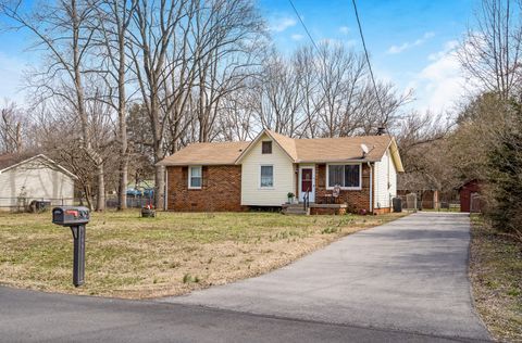 309 Cheatham Ave Smyrna TN 37167
