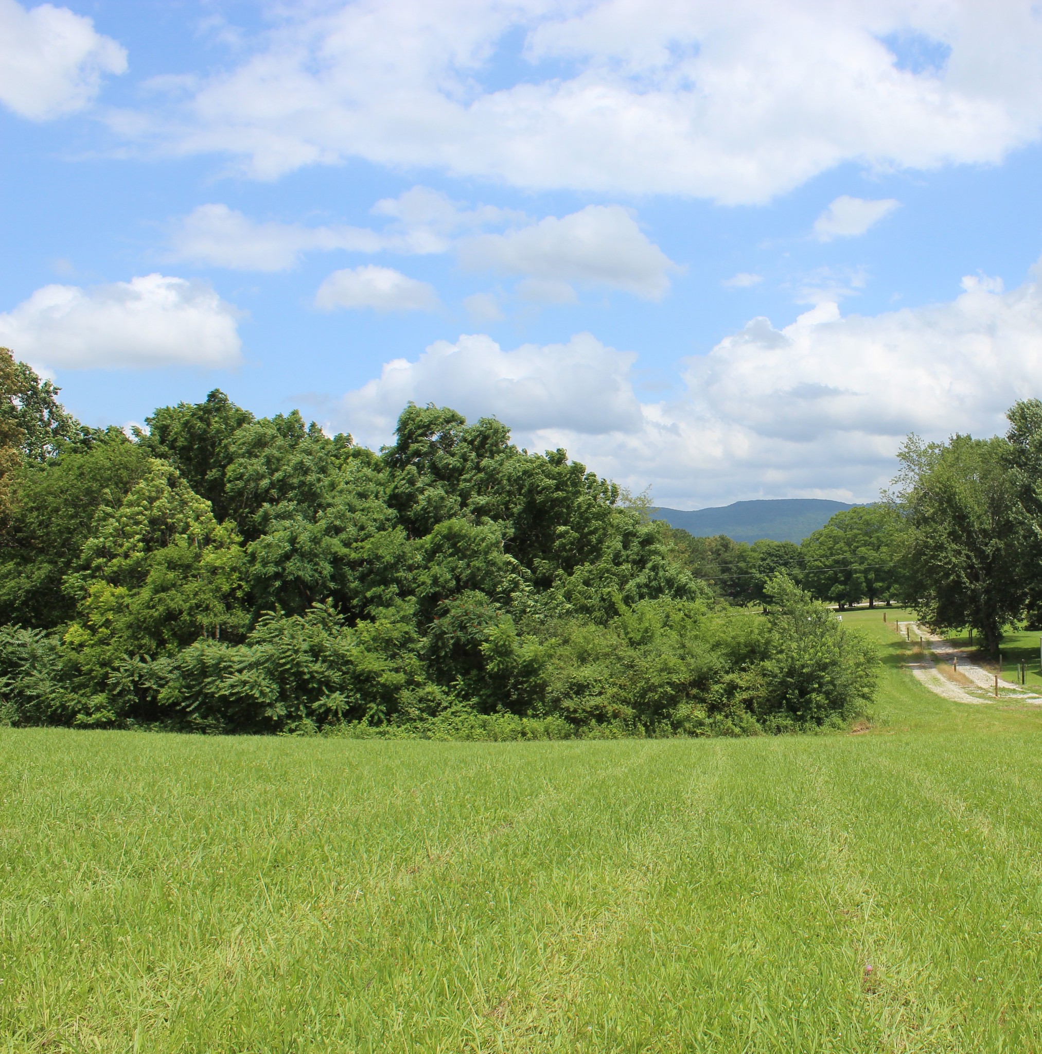 Middle Tennessee Properties 2 0 Sainville Rd