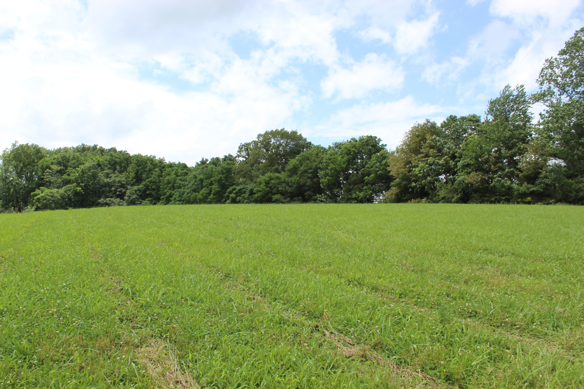 Middle Tennessee Properties 1 0 Sainville Rd