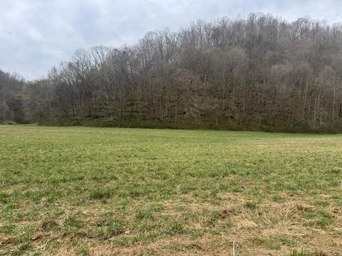561 Pine Lick Rd Whitleyville TN 38588