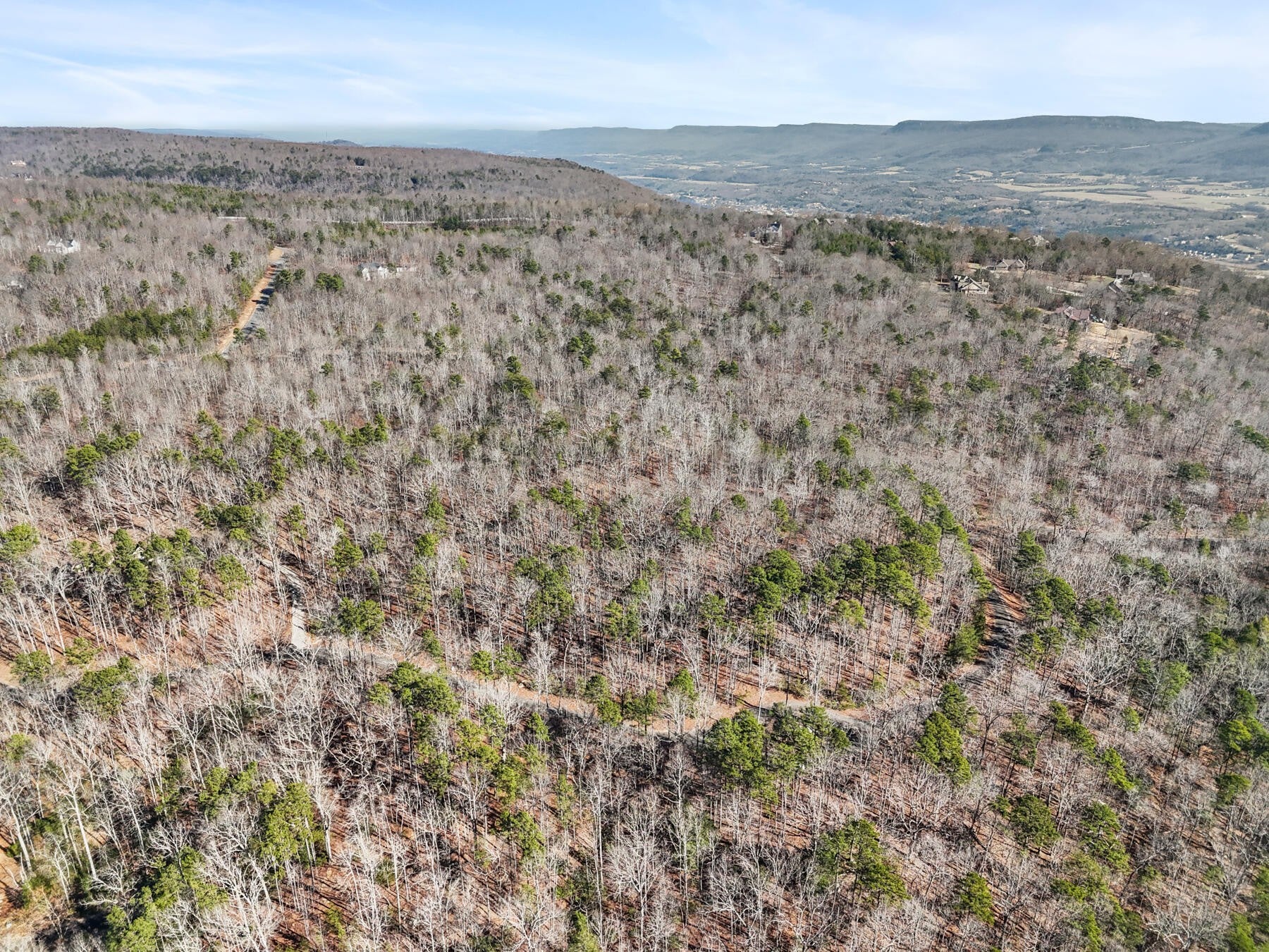 0 Tall Tree Trail