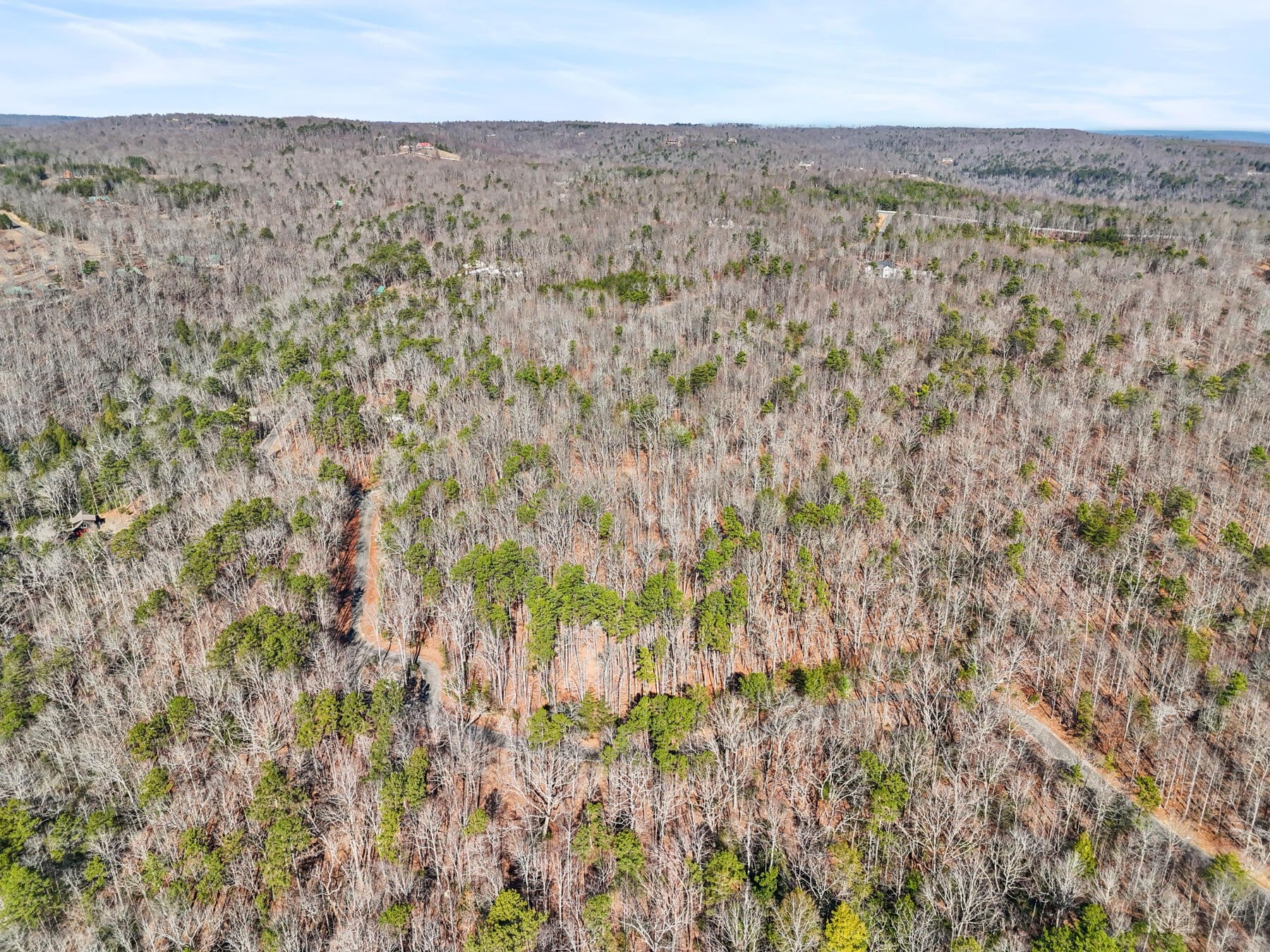 0 Tall Tree Trail
