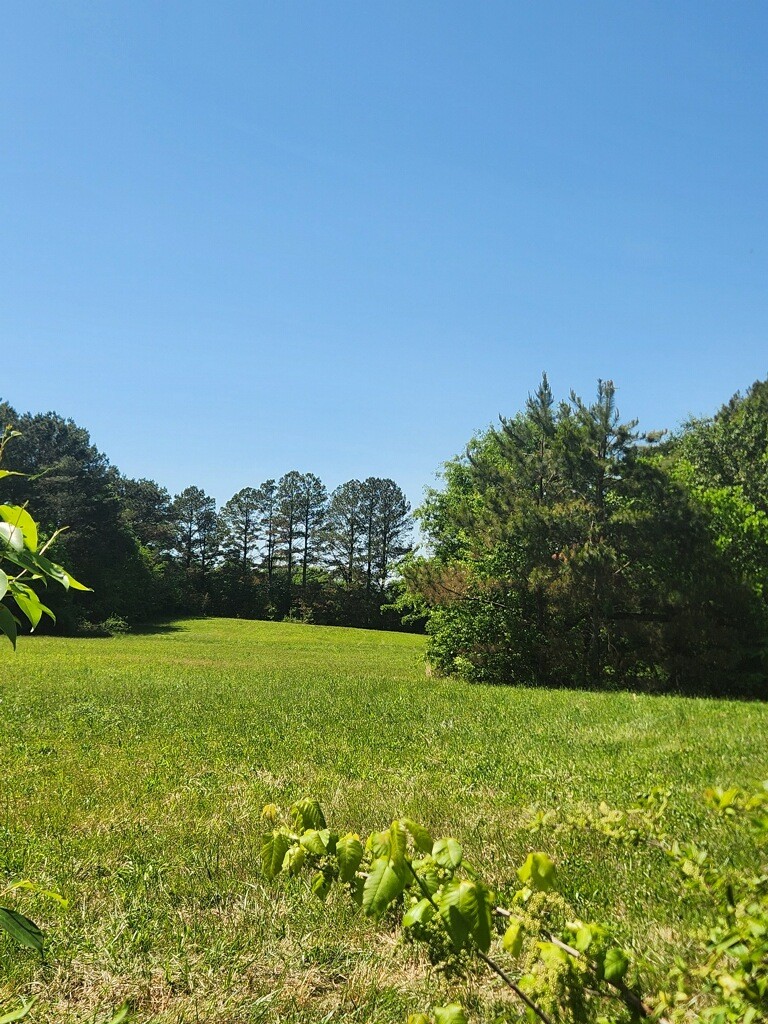 307 Stribling Rd